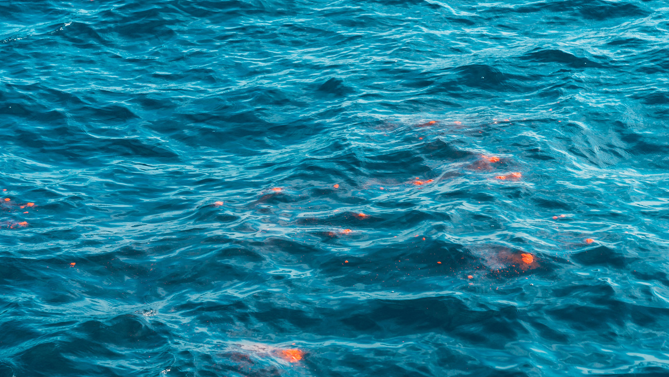 Blue whale feces floating on the ocean surface near China.